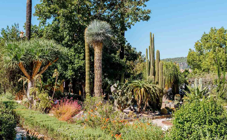 MUCBO | Jardí Botànic, Spain